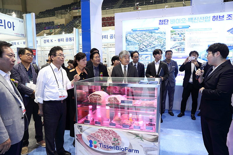 exhibition_19.JPG