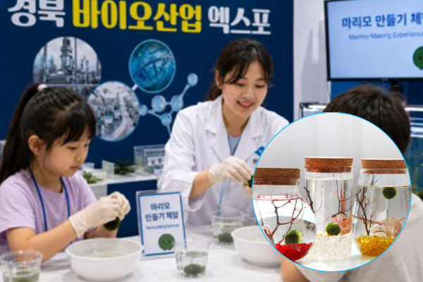 event_2026_02.jpg